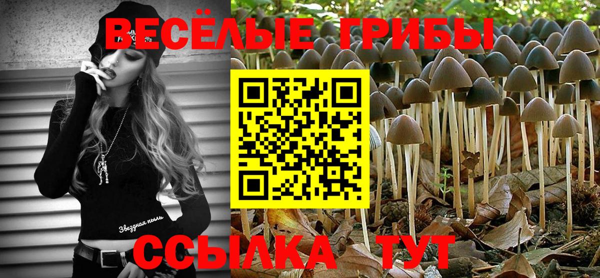 Воронеж  Галлюциногенные грибы Psilocybe  Псилоцибиновые грибы мухоморы  Вход с VPN 
