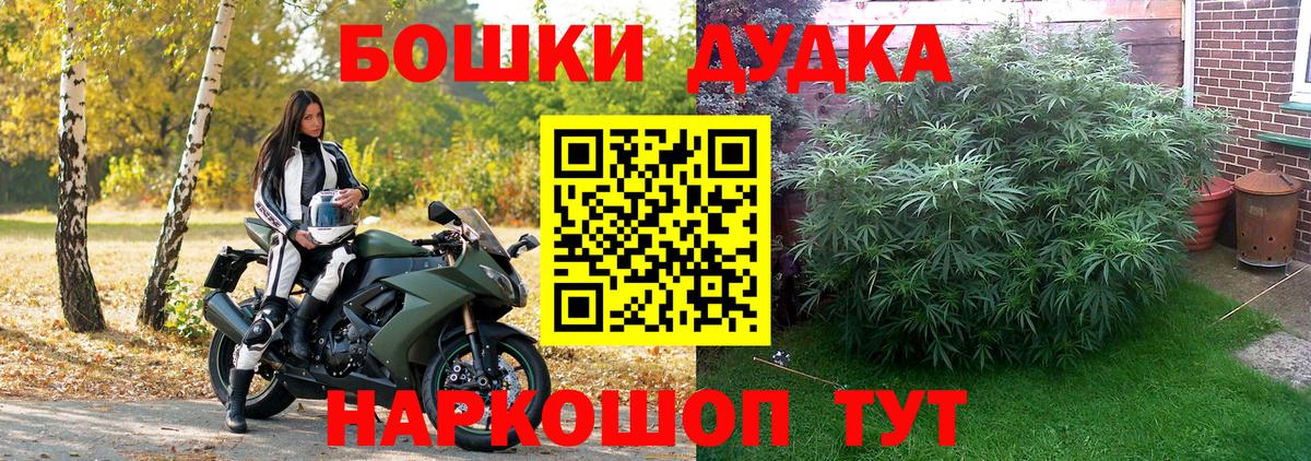 Канабис Bruce Banner  Шишки марихуана планчик  Воронеж  Канабис AK-47  Вход с VPN 